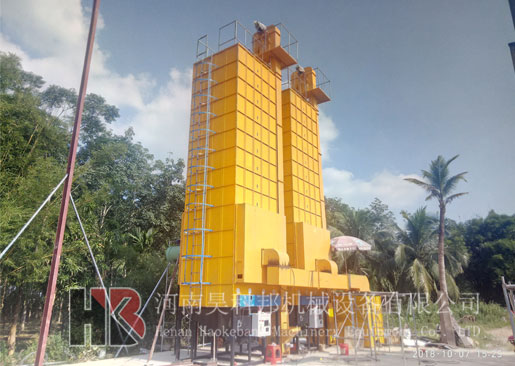 海南定安縣龍河水稻烘干現(xiàn)場(chǎng)