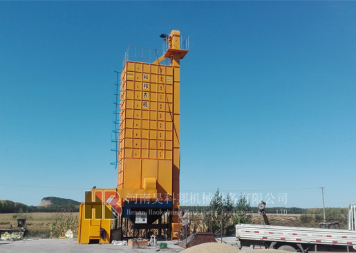 黑龍江農(nóng)墾建三江糧食烘干機(jī)作業(yè)現(xiàn)場(chǎng)