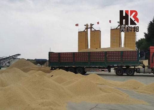 內蒙古赤峰4-35噸水稻烘干機