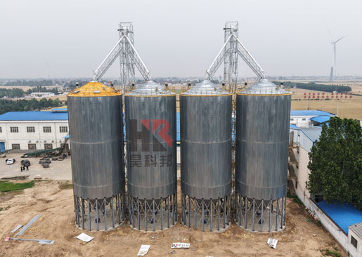 種業4000噸小麥倉儲項目