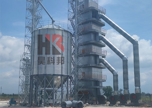 安徽300噸烘干塔鋼板倉項目